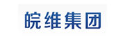 安徽皖維集團有限責任公司